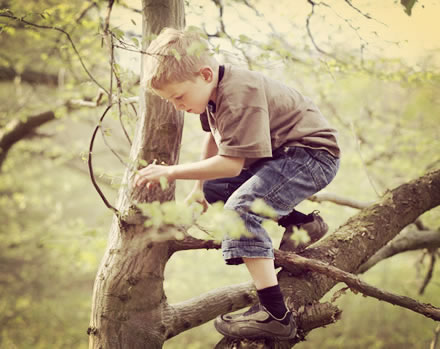 爬树的孩子