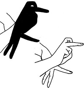 小鸟的手势投影